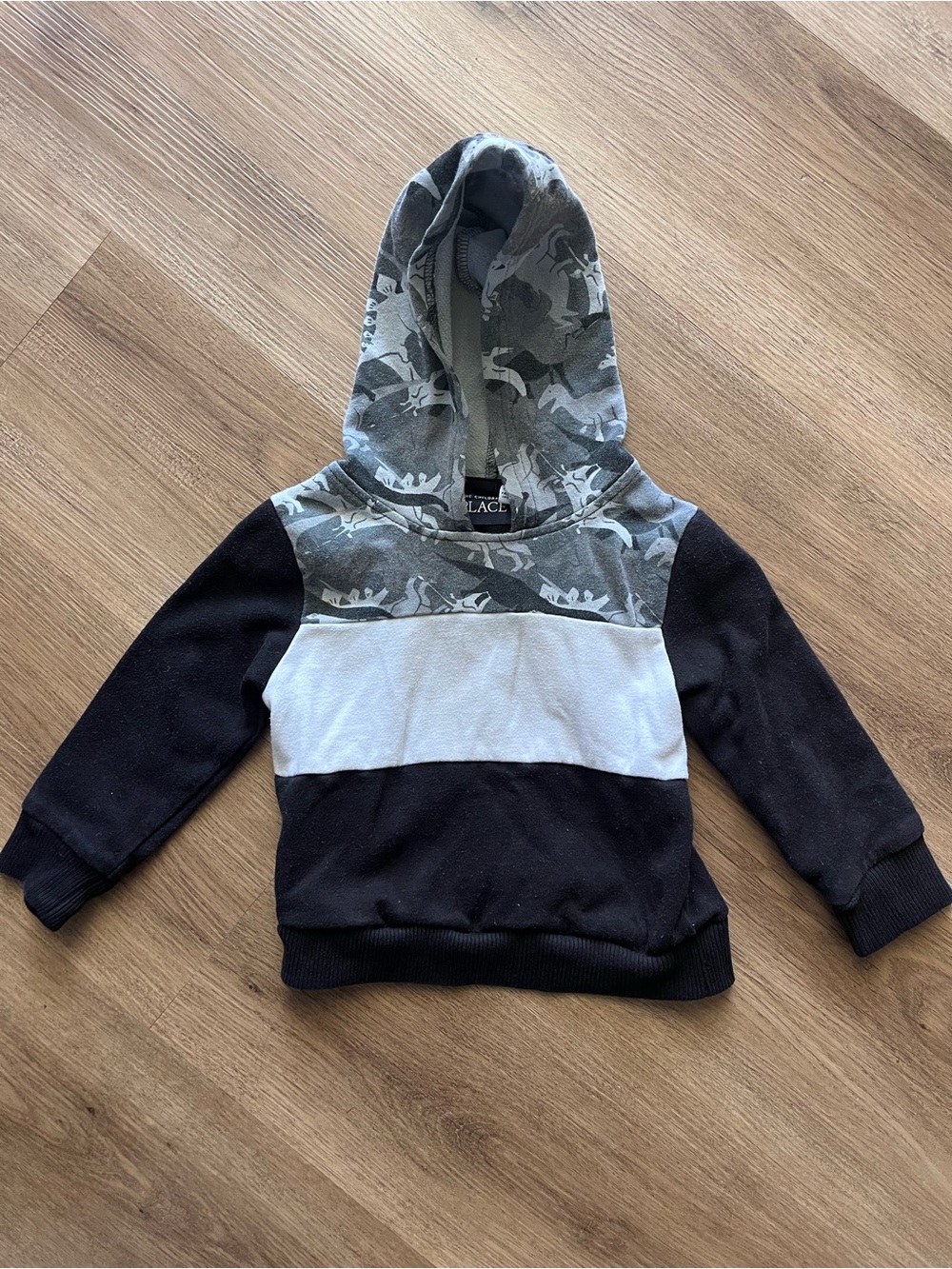 The Children's Place Dinosaur Camouflage Hooded Pullover 18-14M